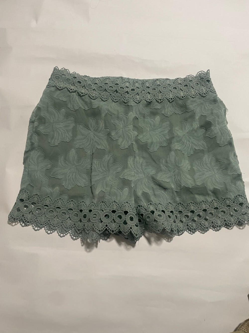 Francesca’s blue rain green lace shorts medium size
